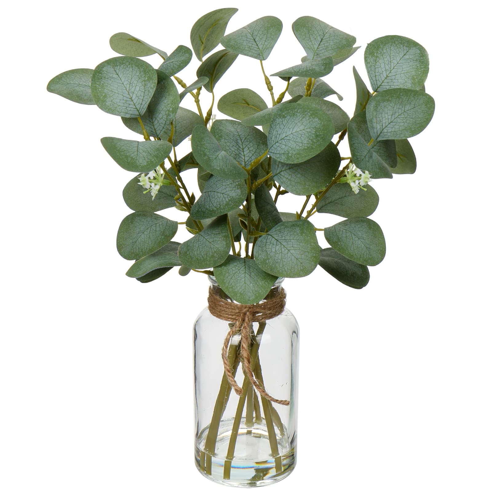 Briful Artificial Eucalyptus Stems in Glass Vase with Faux Water, 14" Fake Plant Eucalyptus Leaves for Home Office Farmhouse Wedding Centerpiece Décor image 0