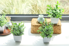 Der Rose 4 Packs Fake Plants Mini Artificial Greenery Potted Plants for Home Decor Indoor Office Table Room Farmhouse image 1
